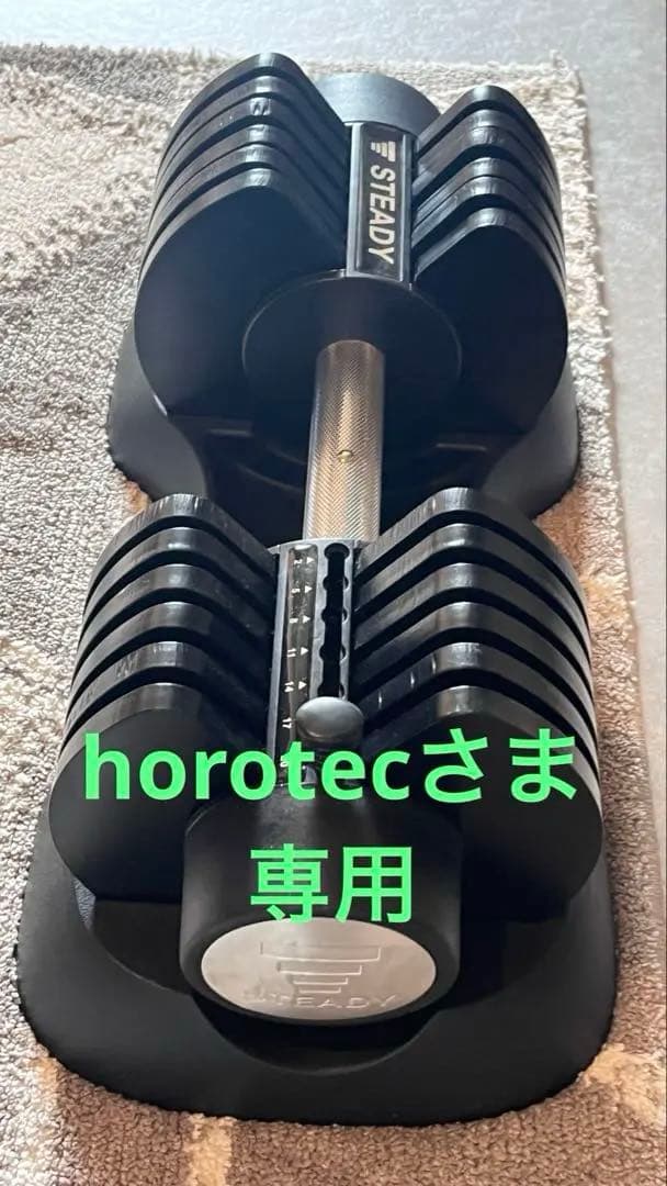horotecさま専用　ダンベルセット② ダンベル セット 2個セット ダンベルセット 1kg ピンク TKS42HM002-1KG
