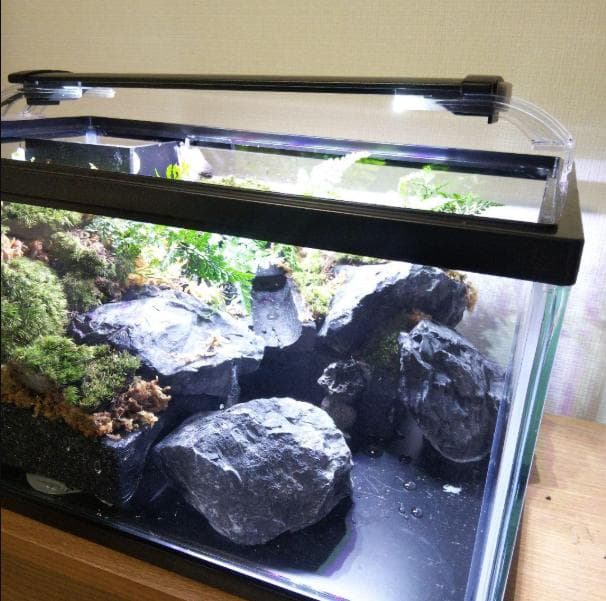 受注生産】滝の流れるアクアテラリウム イモリウム 苔 水槽 苔