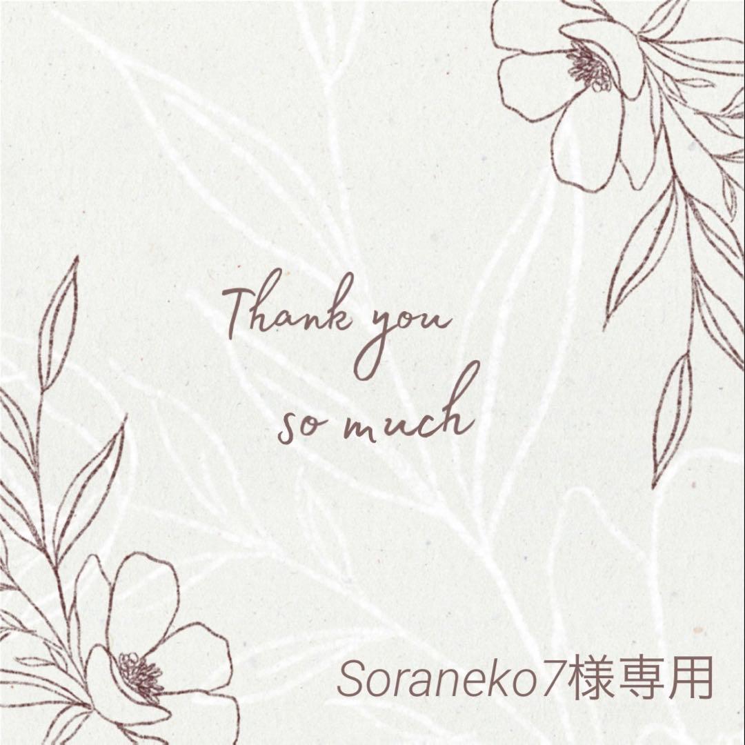 Soraneko7様 リクエスト 3点 まとめ商品 Soraneko7様 リクエスト 3点 まとめ商品 Soraneko7様 リクエスト 3点