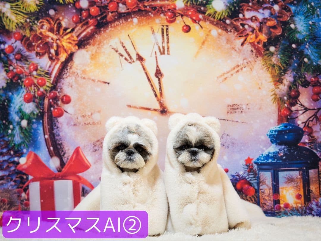 お月見背景布ハロウィンI➃ ペット撮影用フォトブース トリミング