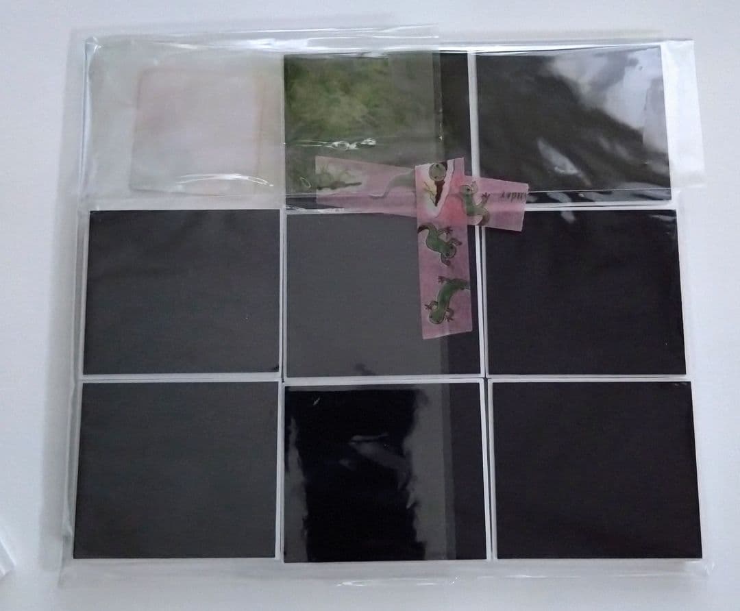 マリンワールド海の中道 額縁マグネット(ぜんぶリロ 第2弾