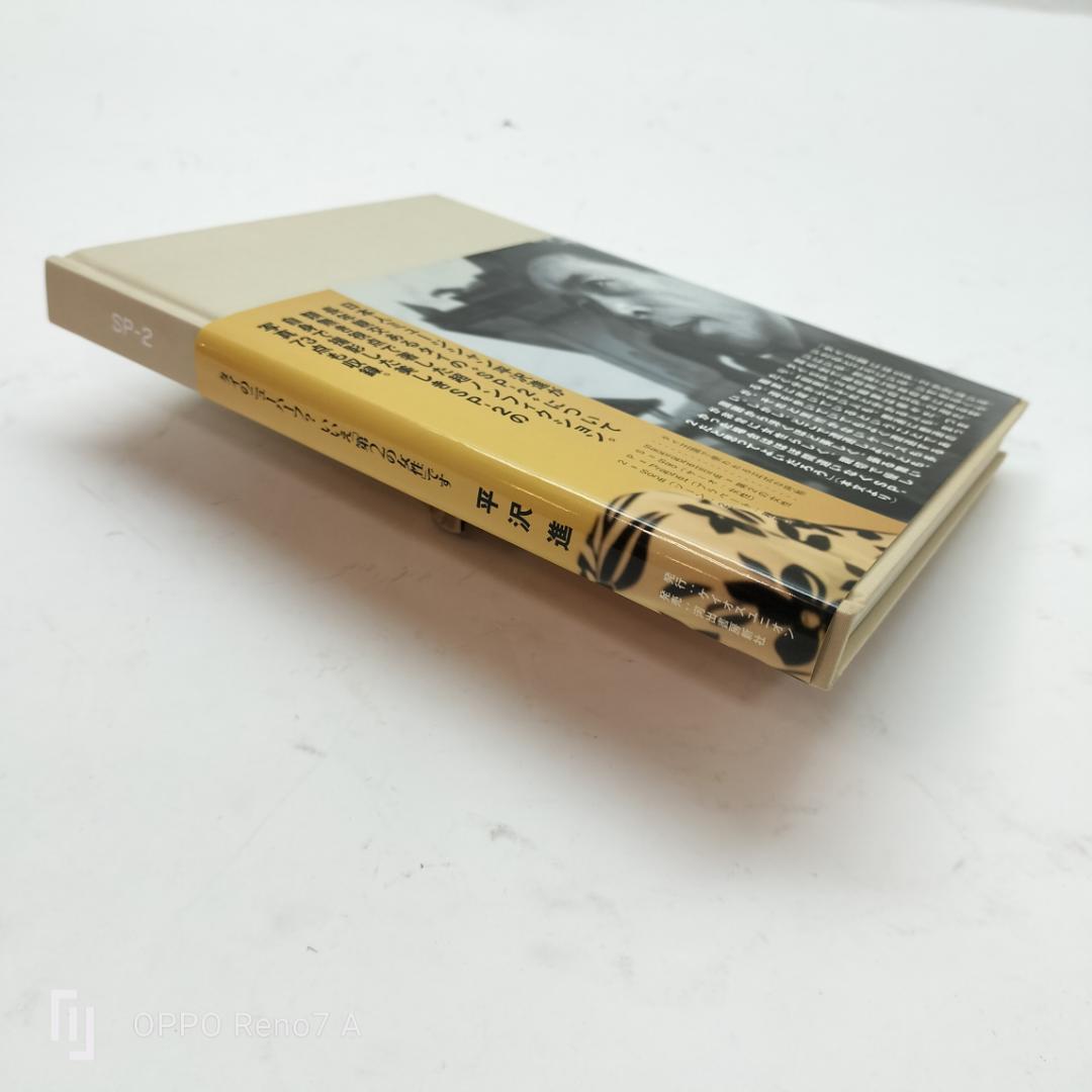 稀少！美品】平沢進「SP-2」～タイのニューハーフ？いいえ「第2の女性