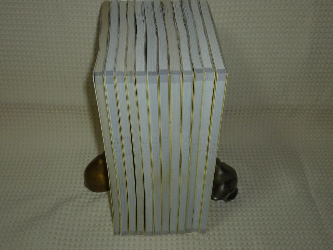 ヤマケイテクニカルブック 登山技術全書 全12巻揃い 山と渓谷社