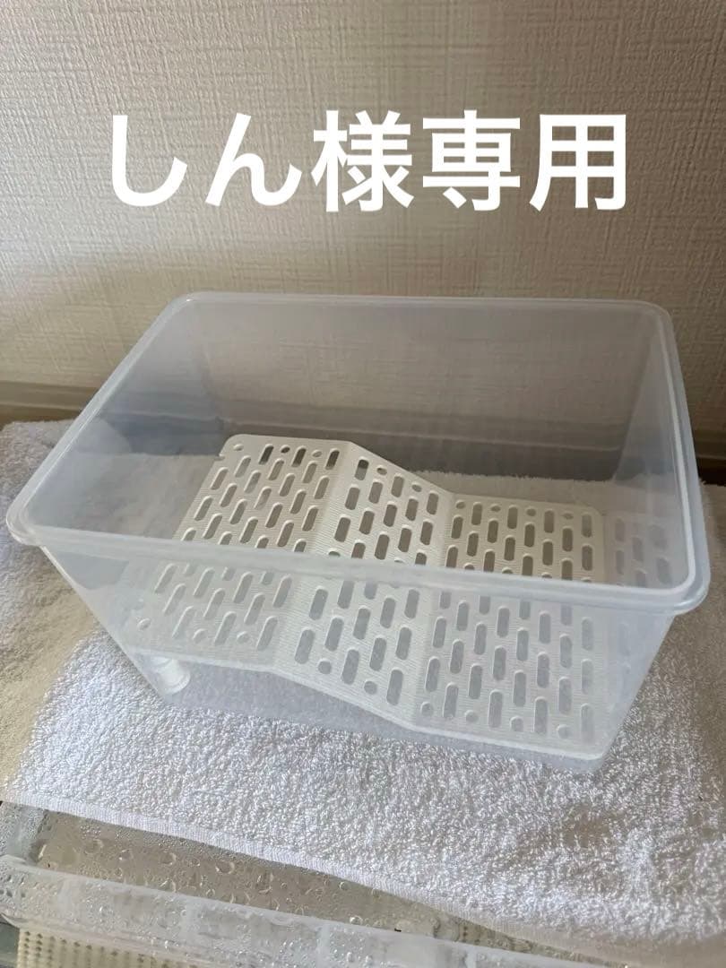 カメ専用飼育ケース　5個セット　中サイズ Amazon | Nicheez 亀 水槽 タートル ボックス かめ カメ 爬虫類 飼育