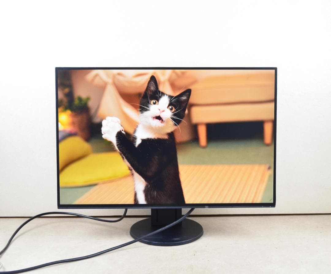 LUCA 15.6インチ ポータブルモニター 本体の通販｜endoscopyonair.com