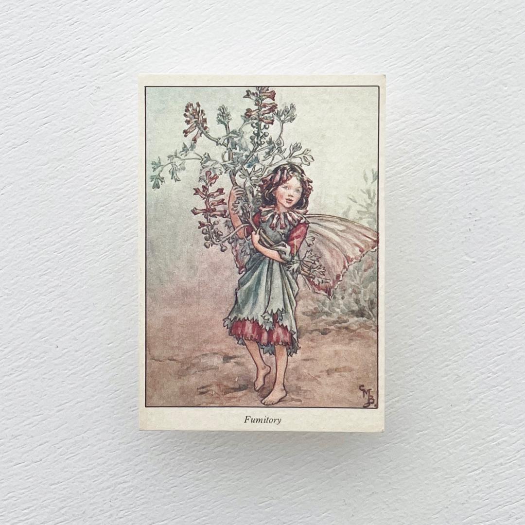 森永 ハイクラウン チョコレート ❤️ フラワー フェアリー カード #53