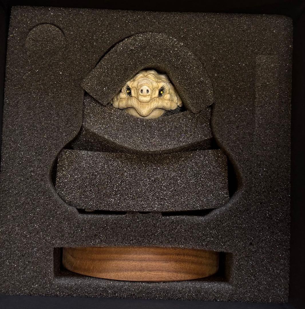 gray turtle 羅本製所 ROBINCERAMICSTUDIO 20体限 - メルカリ