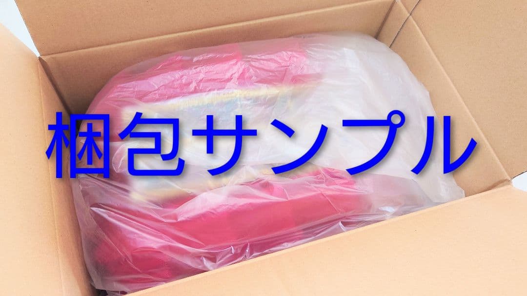 フロリナ、シルヴィア】 チャコット・バレエ衣裳 袖飾り付き・美品 6