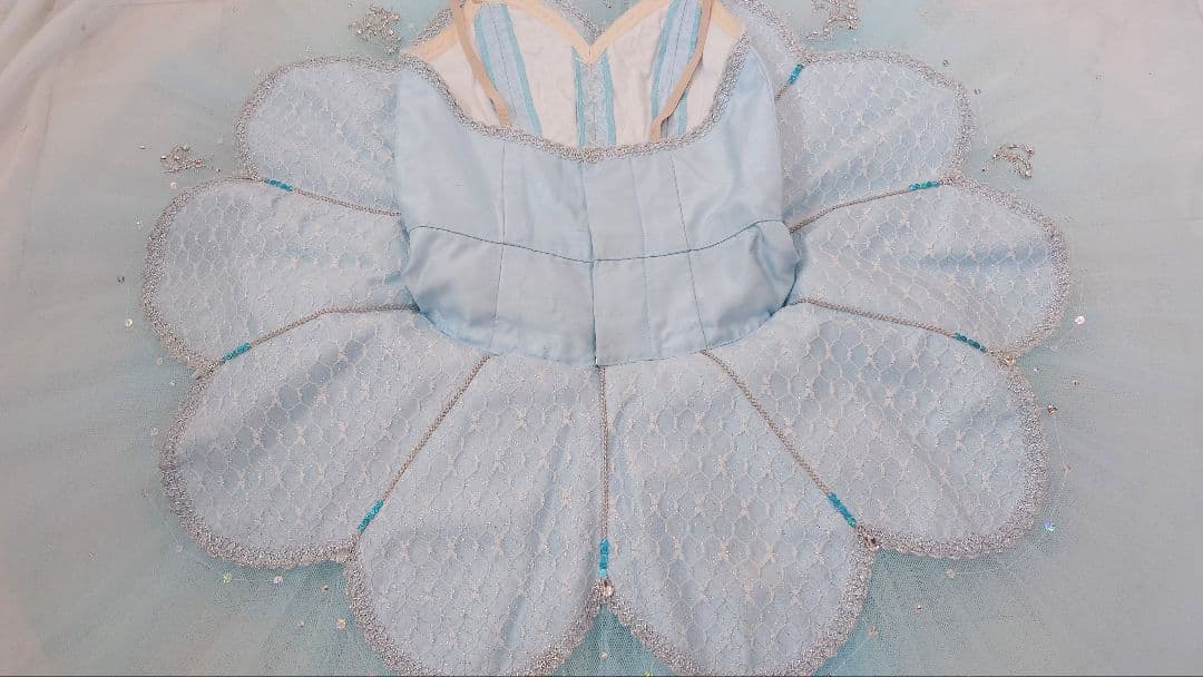 フロリナ、シルヴィア】 チャコット・バレエ衣裳 袖飾り付き・美品 6