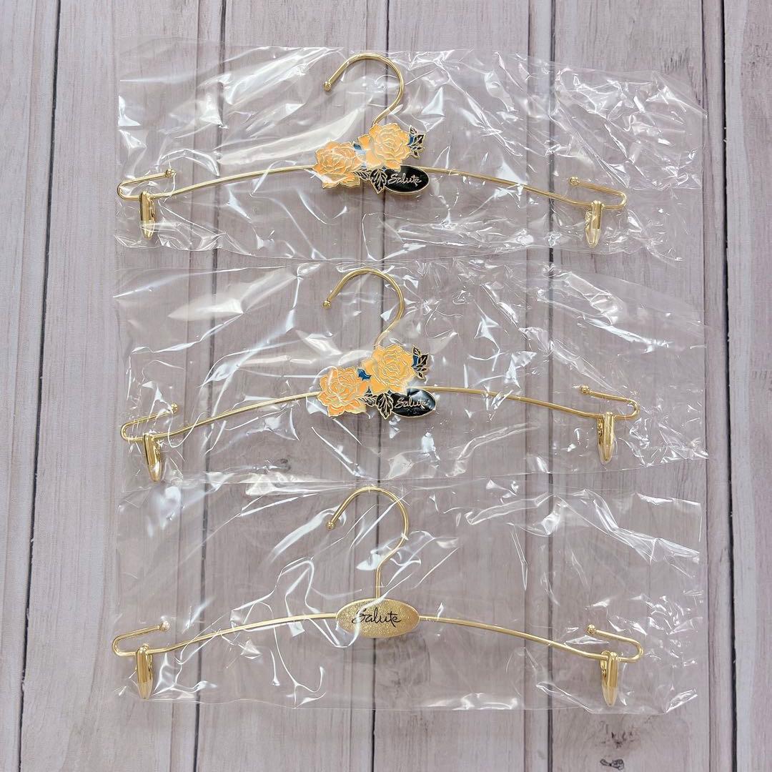 新品✨ salute サルート ランジェリーハンガー 非売品 ノベルティ