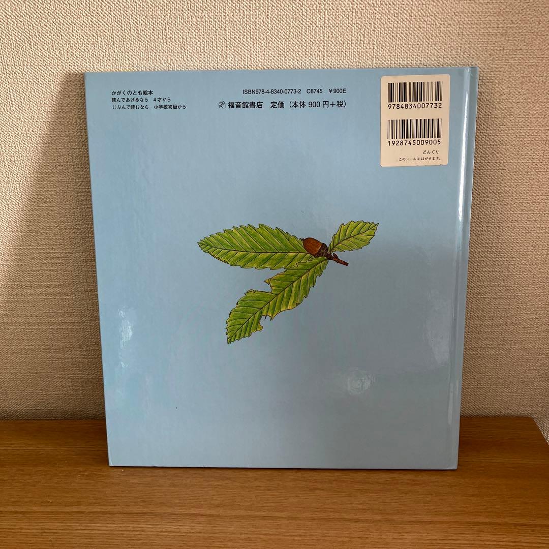 どんぐり - メルカリ