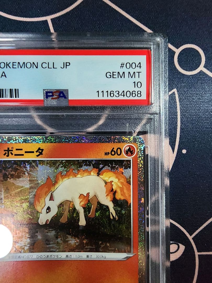 PSA10 連番】ポニータ ギャロップ【ポケモンカードClassic】 - メルカリ