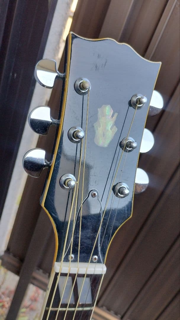 こ*ん様 経年美品 激鳴り トラ柾目 ハミングバード ダブルPU付きエレアコ