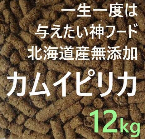 カムイピリカ12kg（3kg×4袋） 琴浦がぶりこ 3Lサイズ | 【JA公式通販】鳥取県産すいか・梨のお