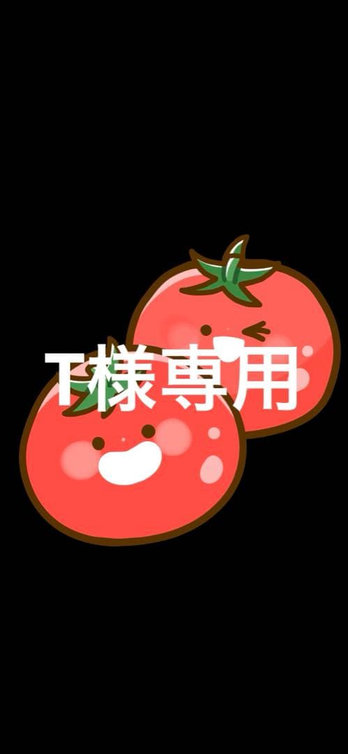 【T】②添加剤セット。 AZ FCR-062 燃料添加剤 100ml ガソリン添加剤 初回限定特別価格