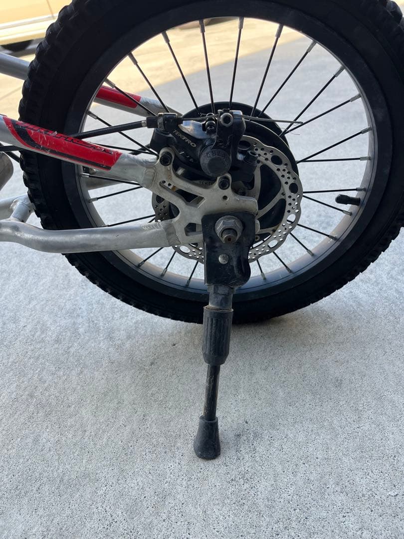 ヨツバモト　ミャウ16