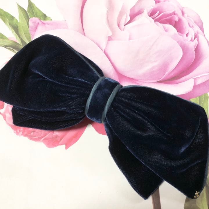 アレクサンドルドゥパリ　ヘアバレッタ 楽天市場】【ポイント5倍 3/5】アレクサンドルドゥパリ バレッタ