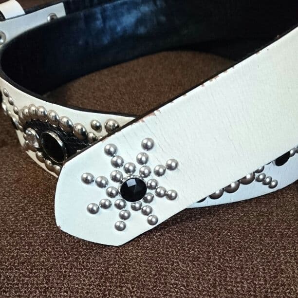 モダンパイレーツ ベルト GLAY TERU - メルカリ