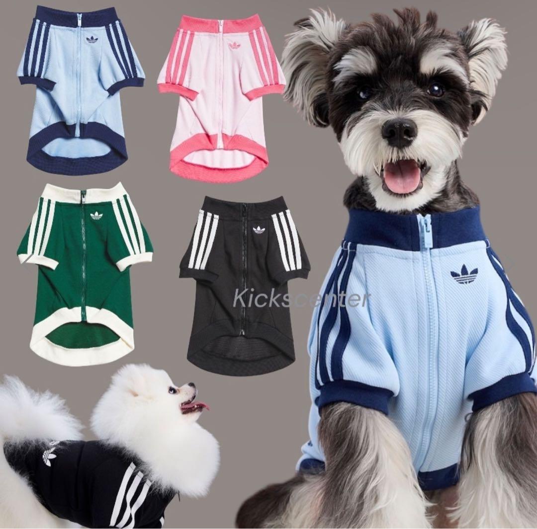 adidas 水色 犬服 猫服　中国限定　ジップアップウェア　XSサイズ adidas ワンちゃん＆ネコちゃんジップアップウェア china tsueta
