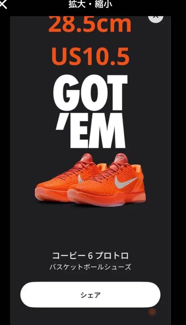 最安 Kobe 6 Protro Total Orange ballaholic Nike Kobe 6 Protro Total Orange IH1871-800 | SneakerFiles