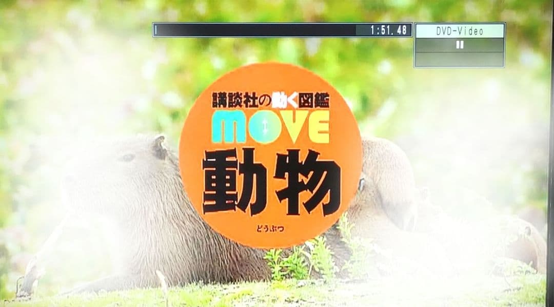 講談社の動く図鑑MOVE ムーブ 10冊DVD付き＋くらべる図鑑 1冊 - メルカリ