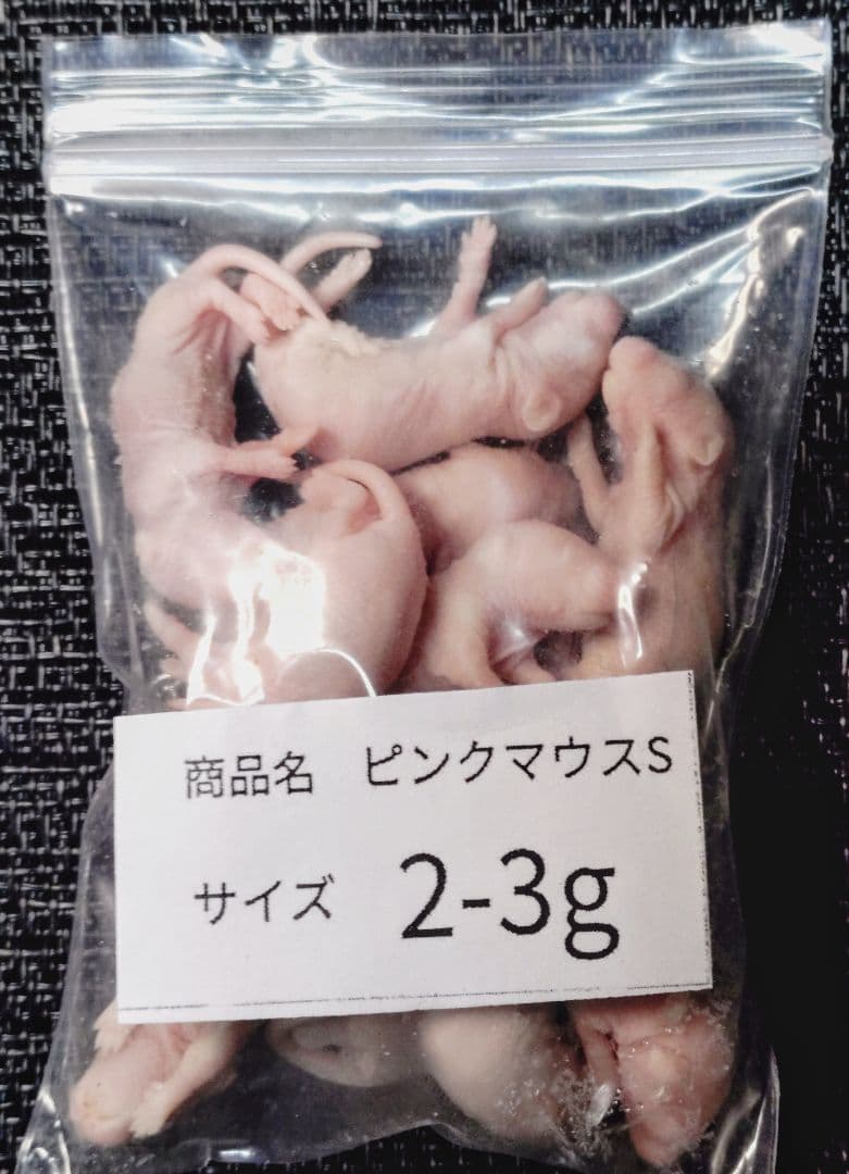 豆　送料無料　冷凍マウスアダルトＬ30匹ピンクS20匹フタホシ200グラム