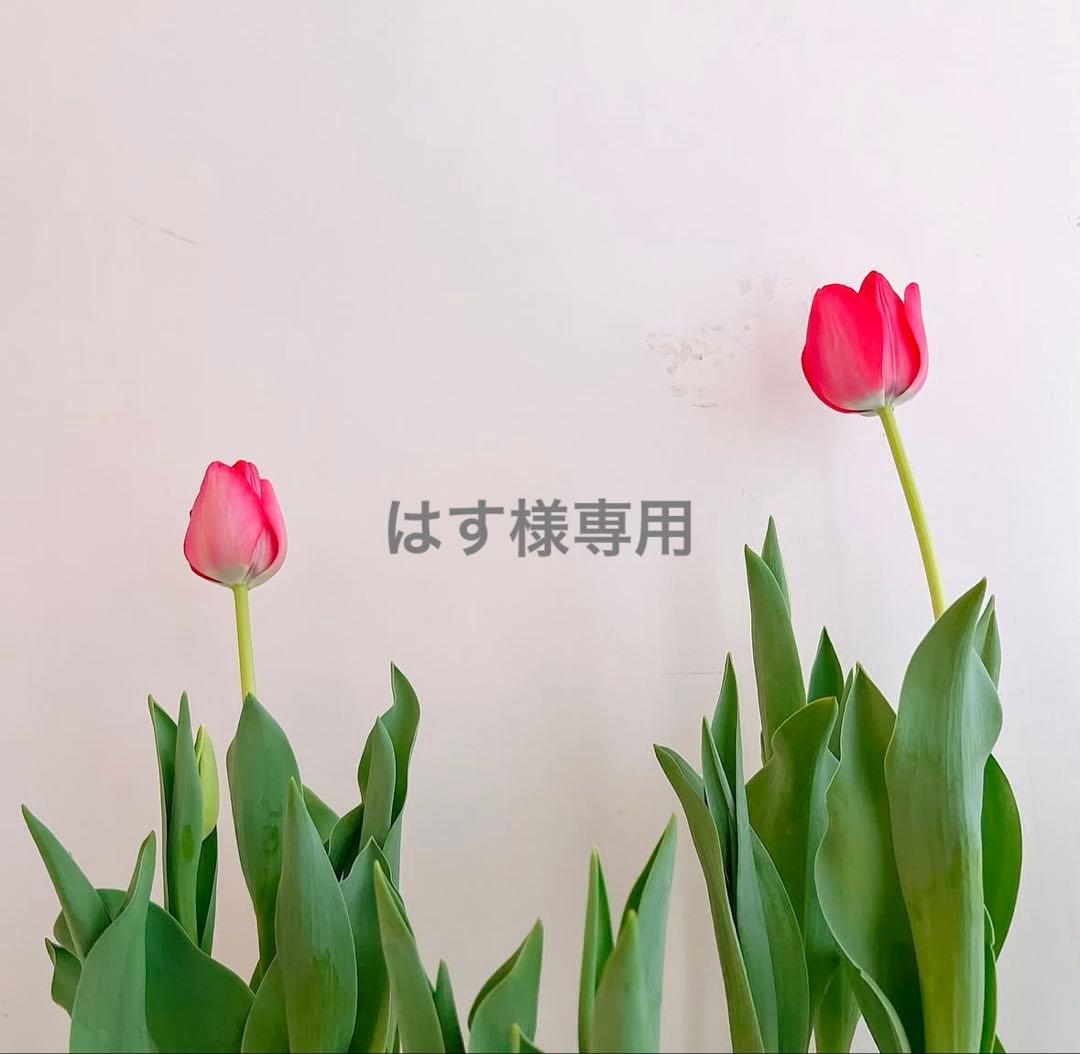 はす品 Webike | HONDA純正部品 ホンダ純正部品 カラー，チエンスライダー