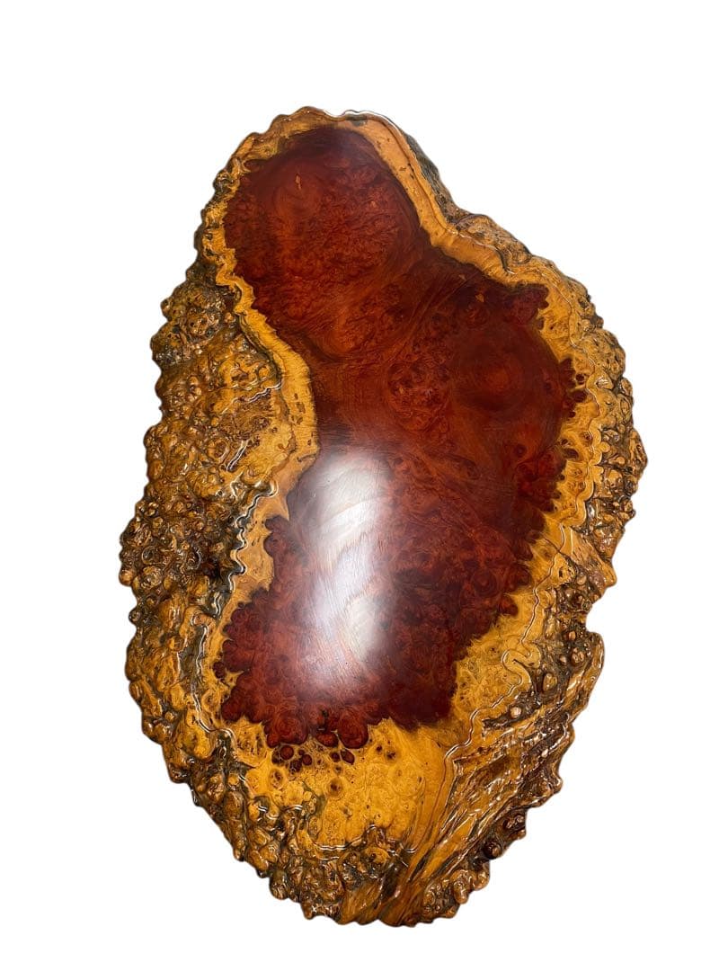 希少 花梨瘤 一枚板 無垢テーブル 不規則形状 瘤杢 高級座卓 天然木