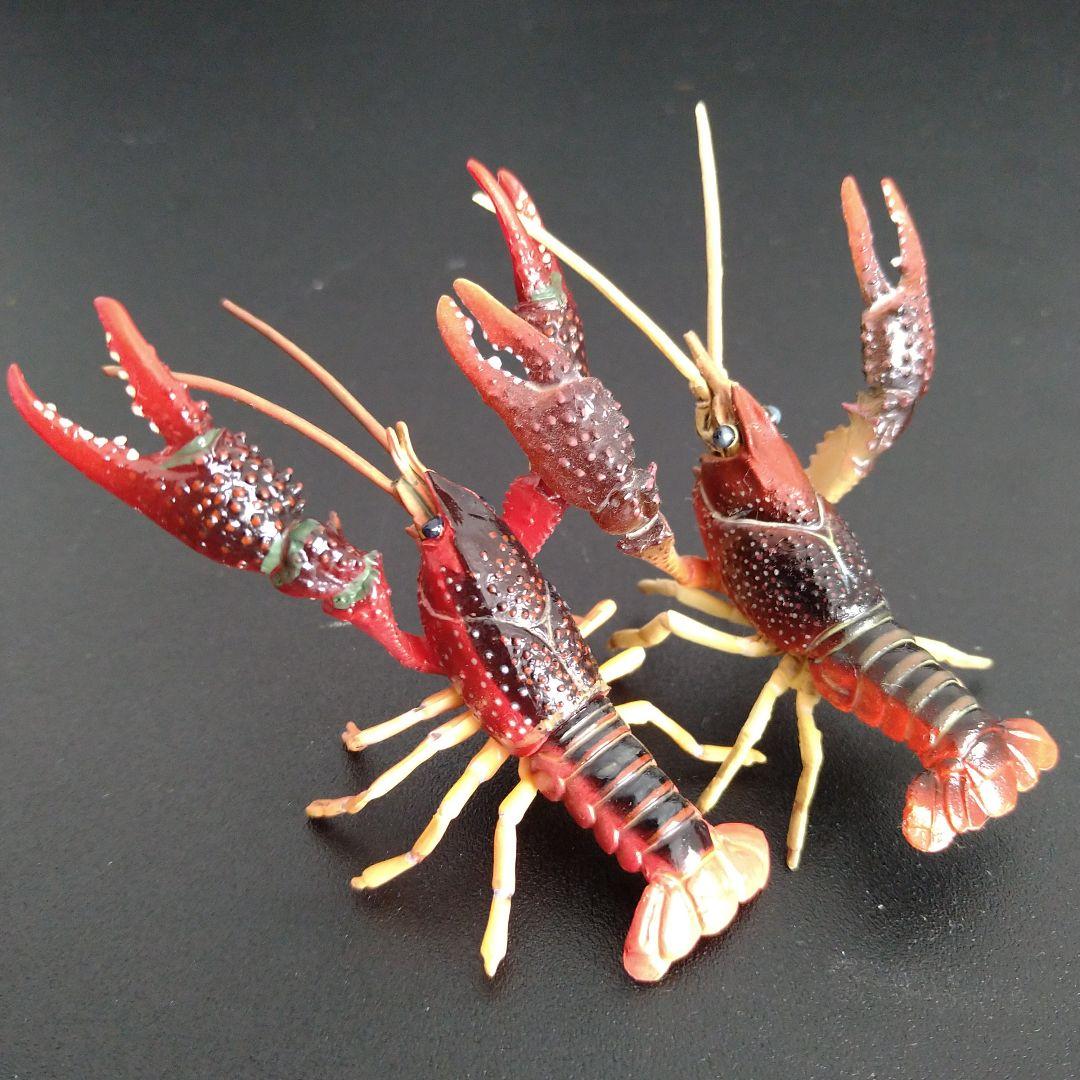 チョコQ第8弾「アメリカザリガニ」 原色甲殻類エビ・カニ図鑑