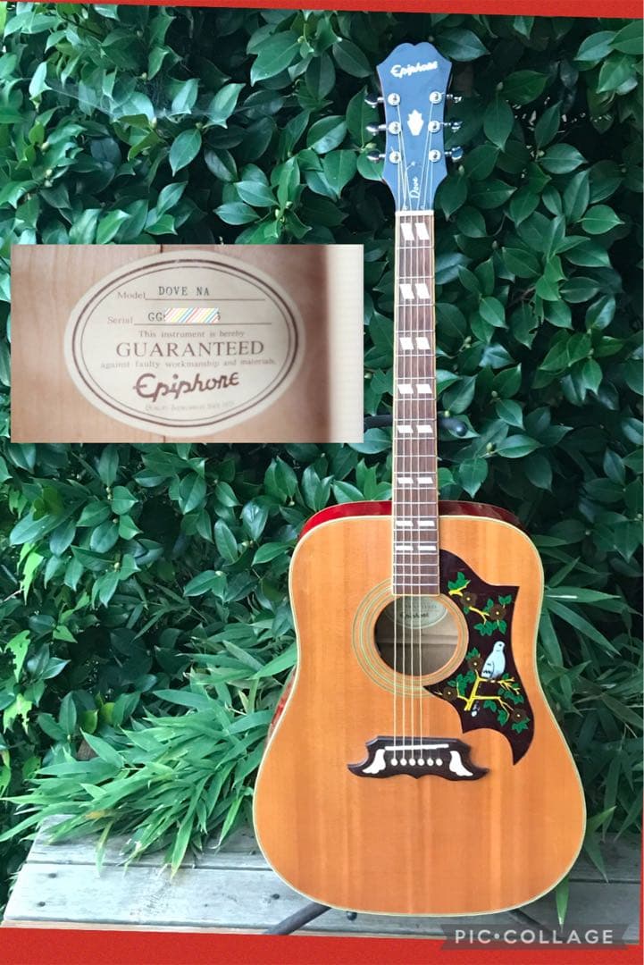 Epiphone DOVE NA Fishman搭載 Epiphone Inspired by Gibson Dove Studio (Natural) [Fishman