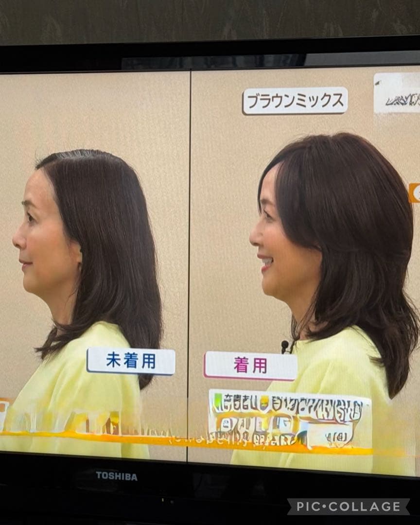 お値下げしました＊アートネイチャーJOヘアピース