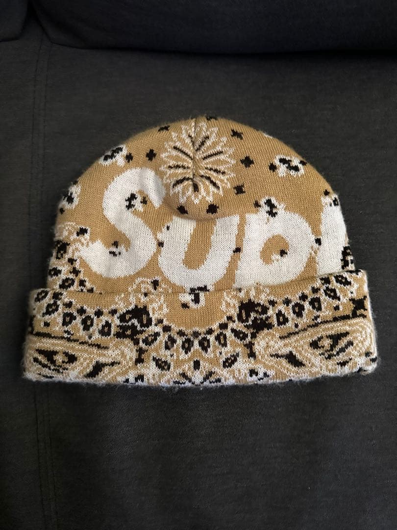 Supreme big logoビーニー Supreme Big Logo ビーニー | グリーン | FARFETCH JP