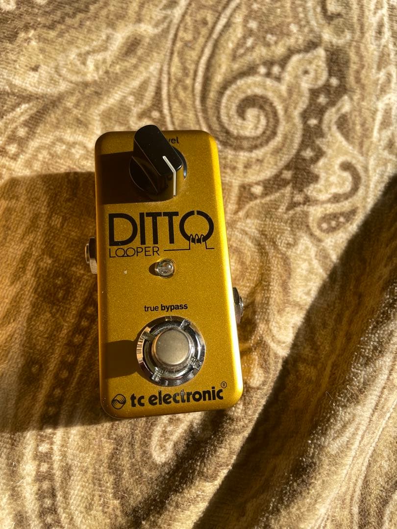 ギター TC electronic Ditto Looper.Gold TC Electronic Ditto Looper | Gold Edition - YouTube