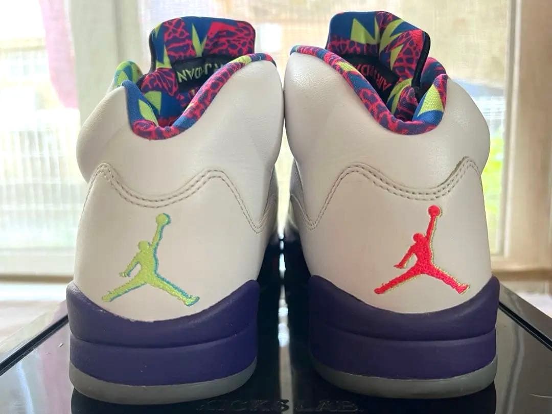 Nike Air Jordan 5 〈25㎝〉 ケース付き