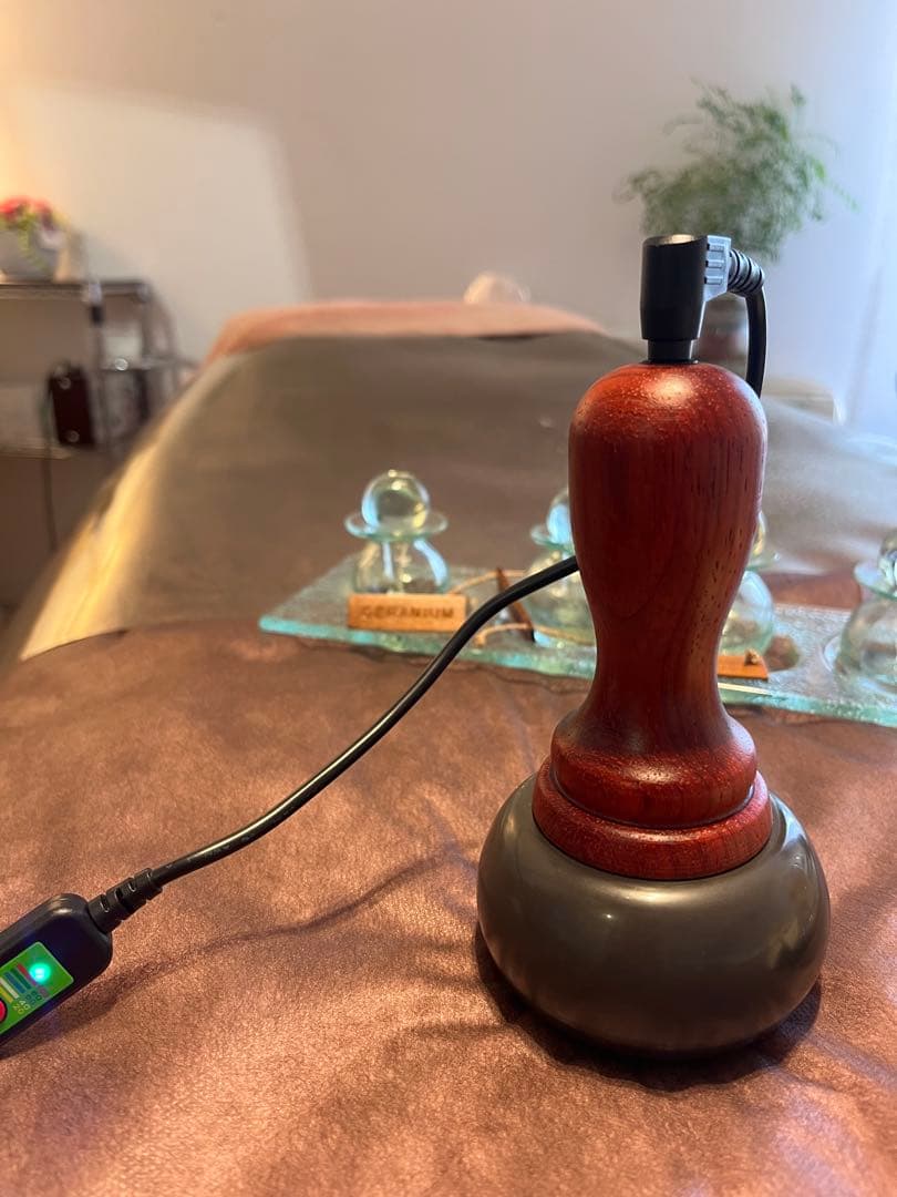 マ*ル様 ベン石温熱器 ホットストーンセラピー温石 日本でも海外でも