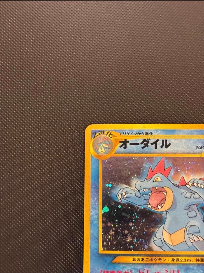 旧裏 ほぼ完美品 オーダイル プレミアムファイル ☆neo 金、銀、新世界