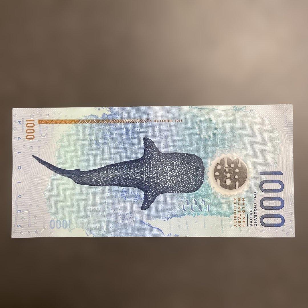 モルディブ紙幣1000ルフィヤ（MVR）紙幣（海亀・ジンベイザメ） - メルカリ