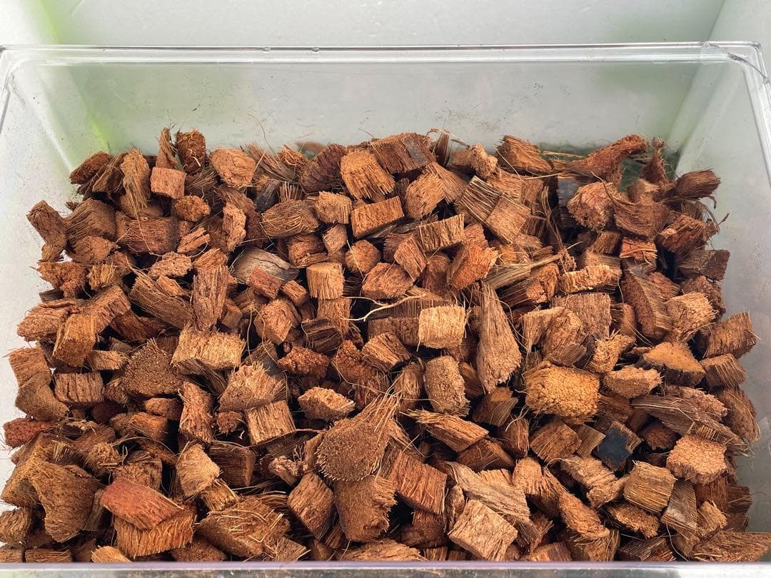 2S約50Lヤシガラハスクチップ. - メルカリ