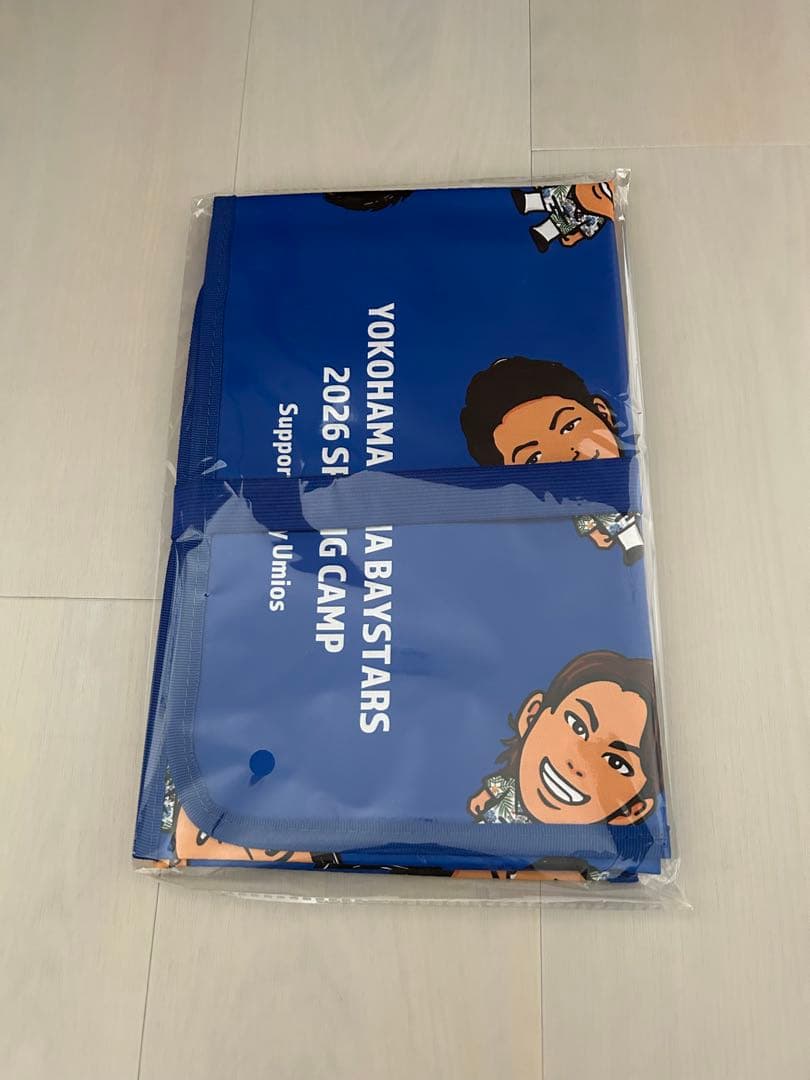 横浜ベイスターズ宜野湾キャンプ2026レジャーシート - メルカリ