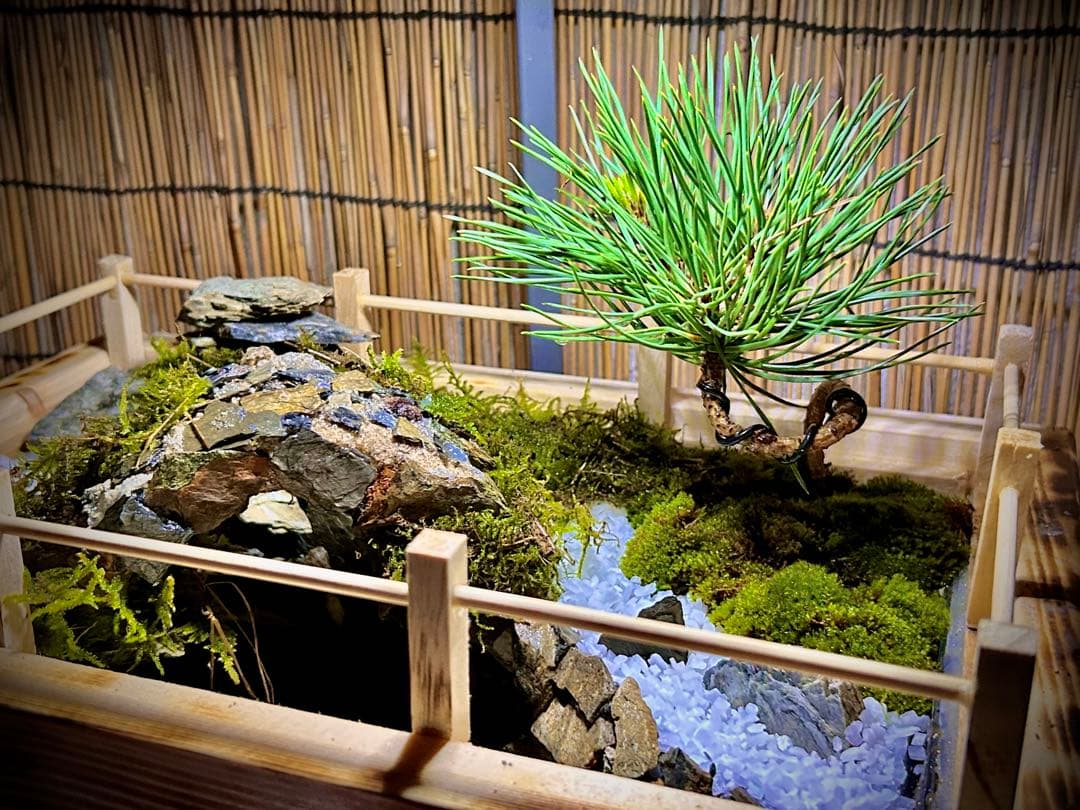 水の流れる滝テラリウム 苔テラリウム 日本庭園 - メルカリ
