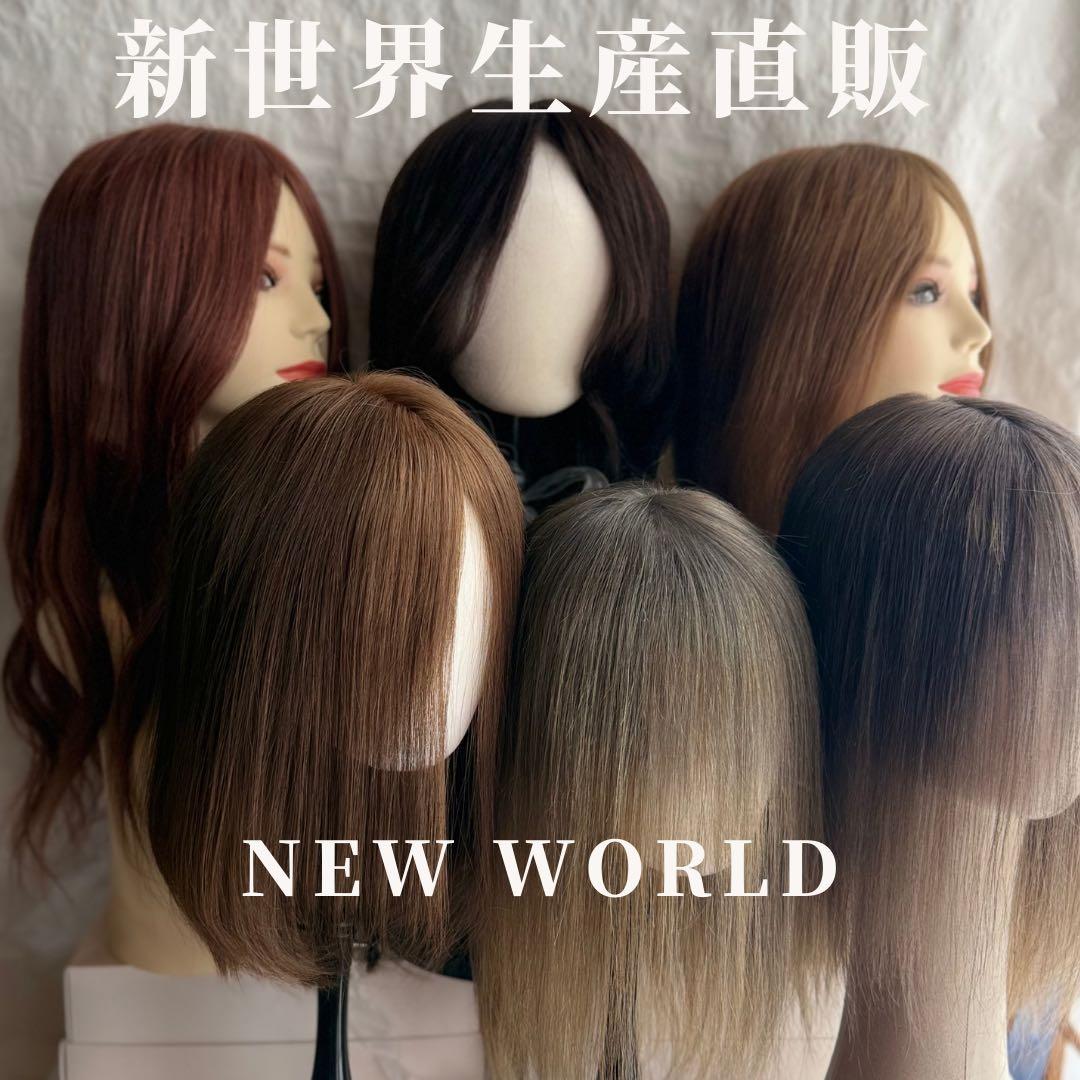 真2026新世界 人毛100%ウィッグ シルクスキン 医療ウィッグ フル