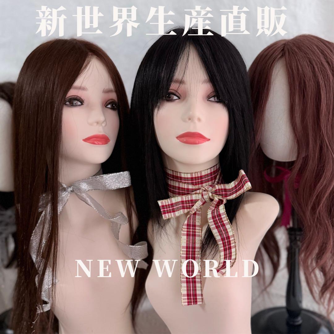 真2026新世界 人毛100%ウィッグ シルクスキン 医療ウィッグ フル