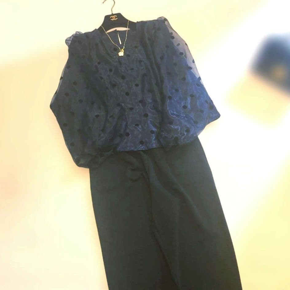 まるちゃん様おまとめ専用オーガンジーの 大人可愛いトップス