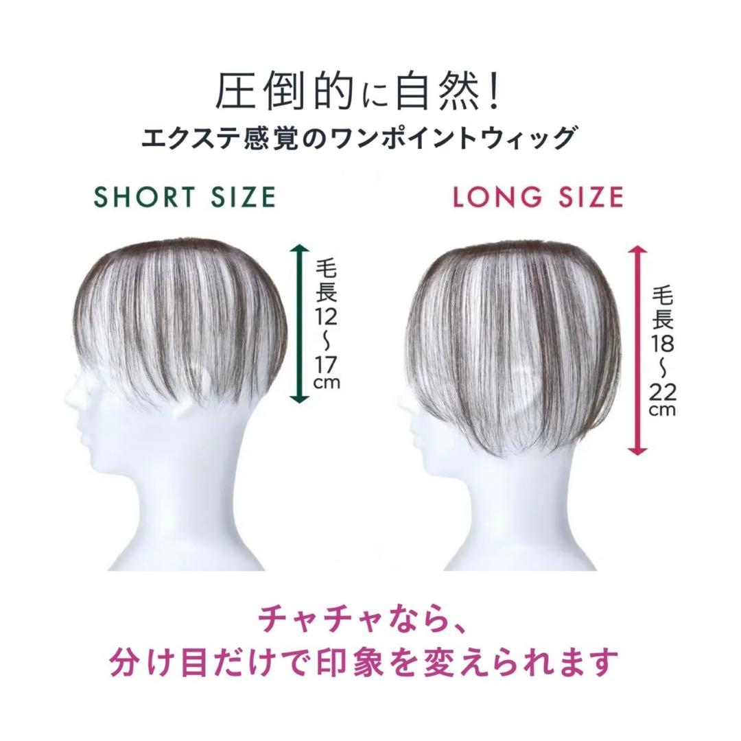 PESCA (ペスカ)ヘアメイト チャチャ 部分ウィッグ 白髪隠し特化型
