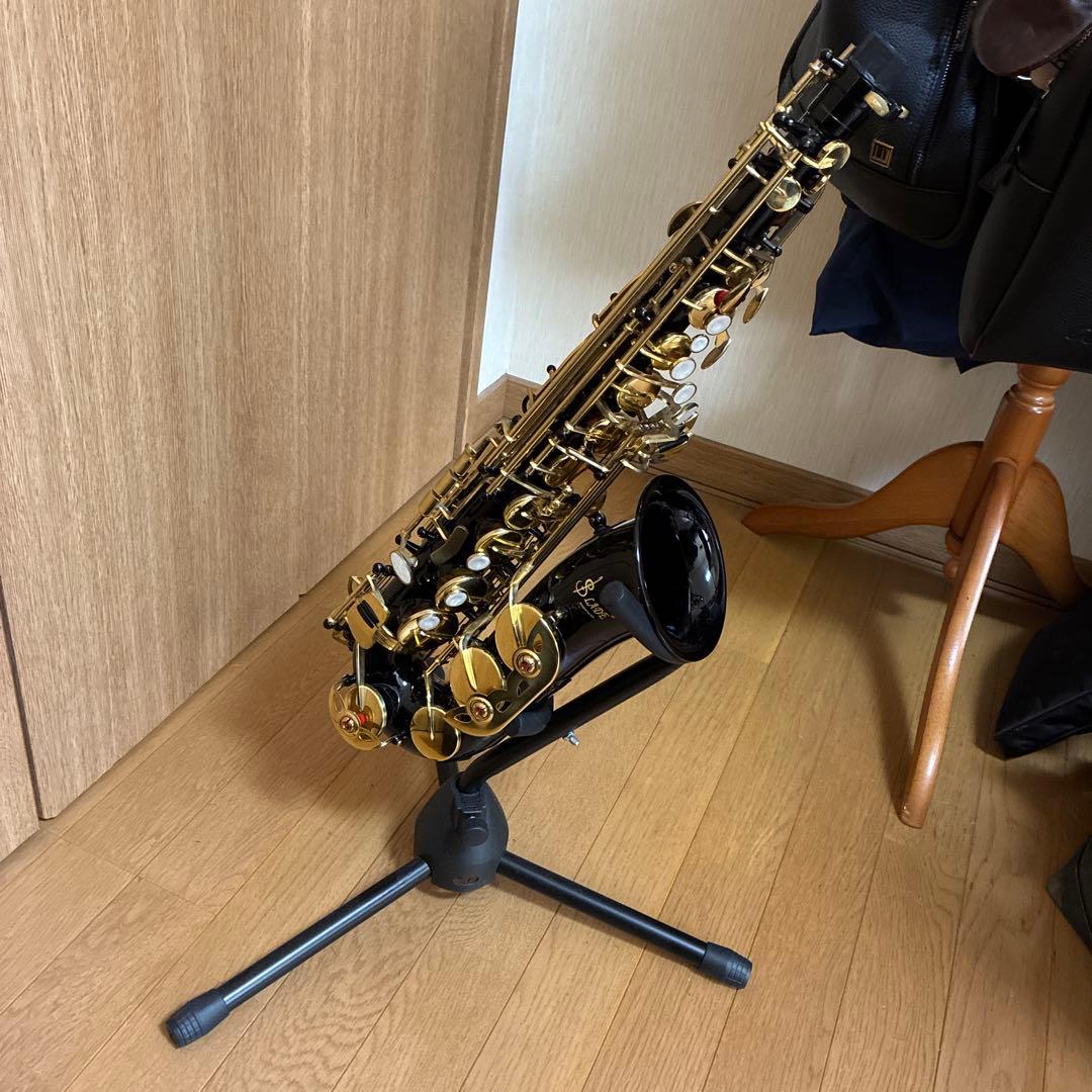 t*g様 SLIDE サックス本体 黒ケース付き GL CASES 【アルトサックス用】 GLS-A