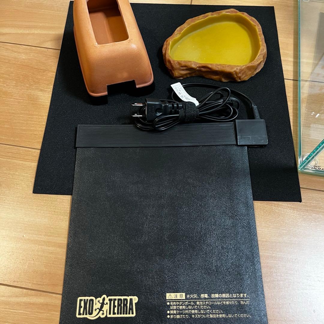 爬虫類 飼育セット11点 カナヘビ ニホントカゲ - メルカリ