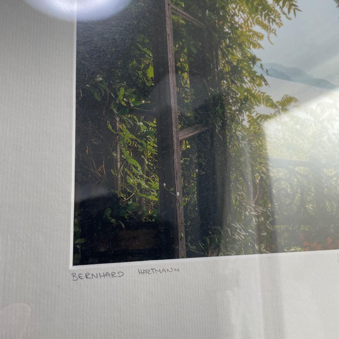 エーイー様専用イエローコーナーフォトアート 海外の庭 額縁付 - メルカリ