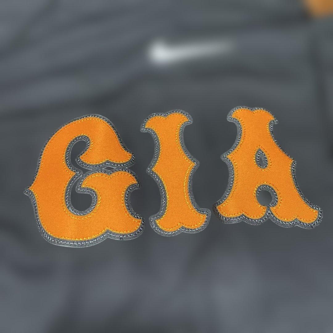 タグ付き未使用！ナイキ 巨人 ビジター ジャイアンツ 長野