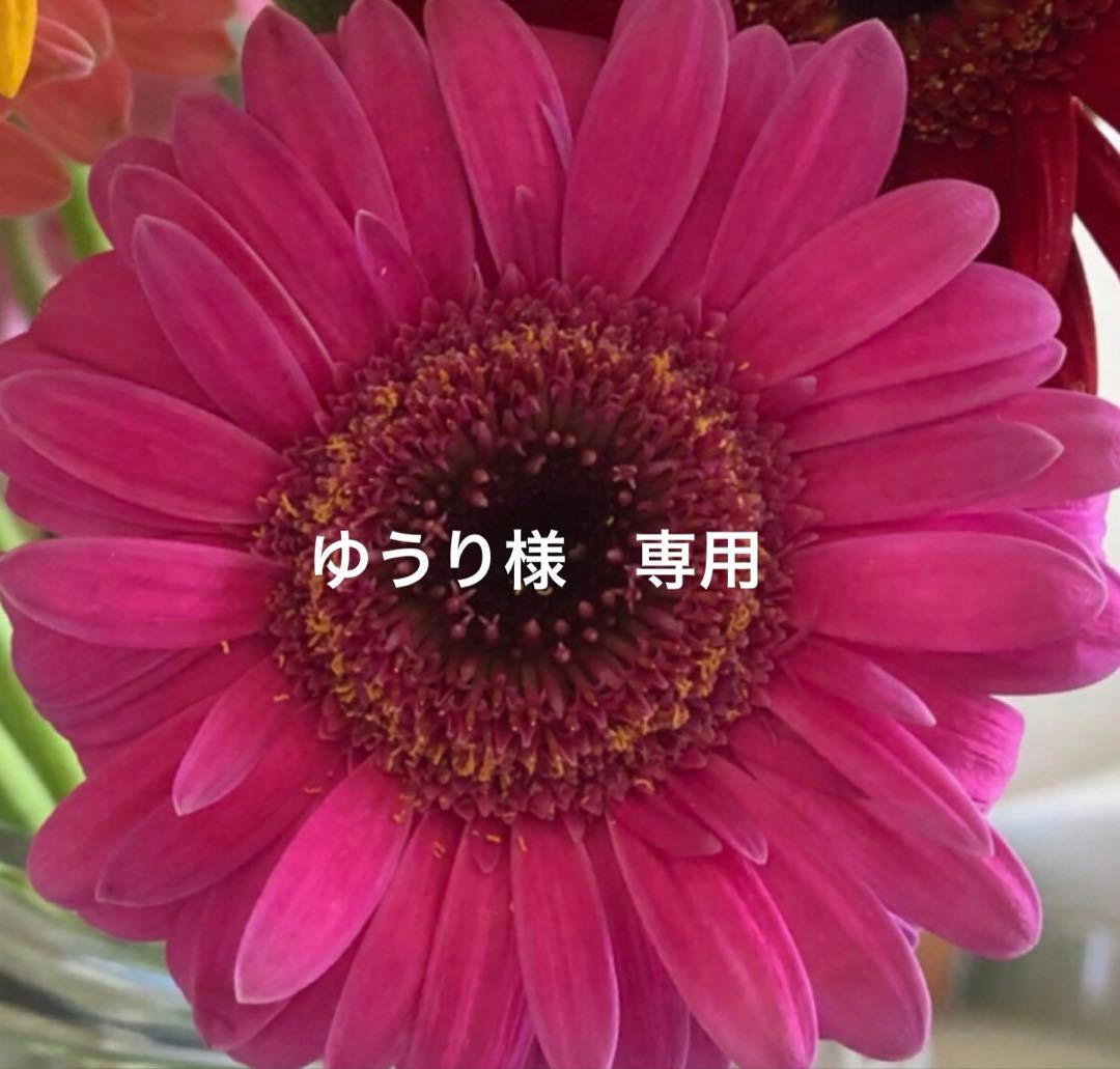 ゆうり アルテマ インフォーム5.5 1000ml アルテマ インフォーム5.5 1000mL 爆買 : ヘアケアcafe～ルベル