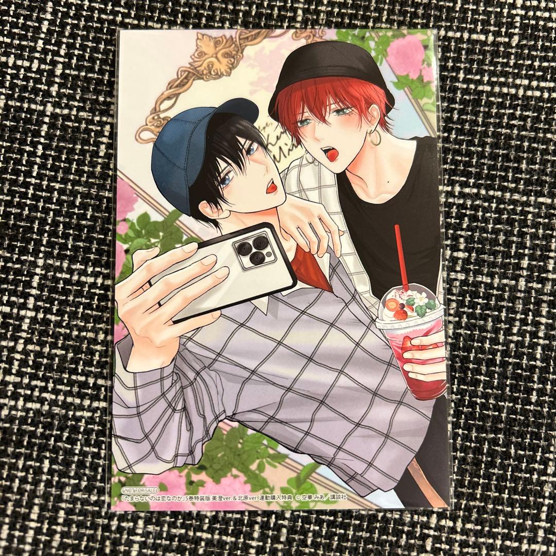 たまらないのは恋なのか 5巻 アニメイト 連動特典 イラストカード